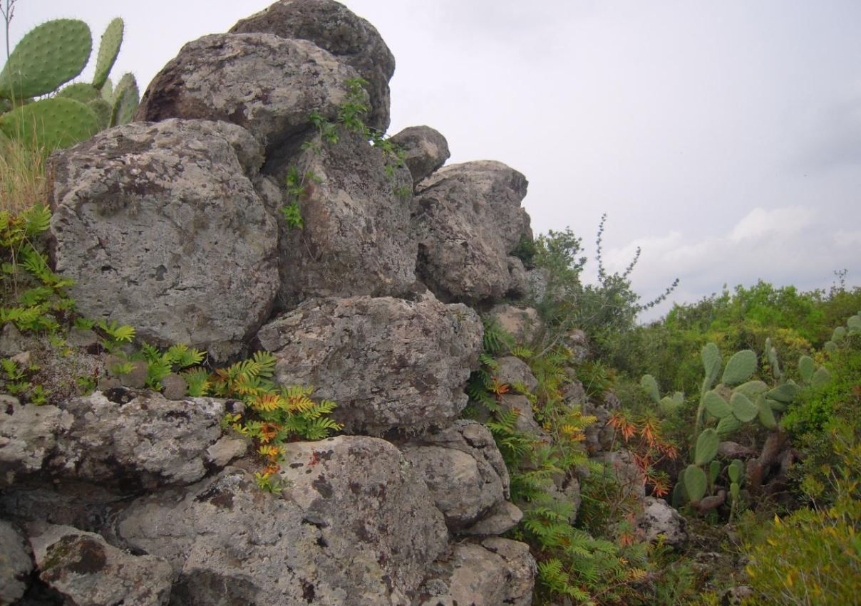 Nuraghe Niedda Puliga - Bari sardo