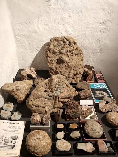 Centro di Interpretazione Paleontologico e del Paesaggio - Nureci