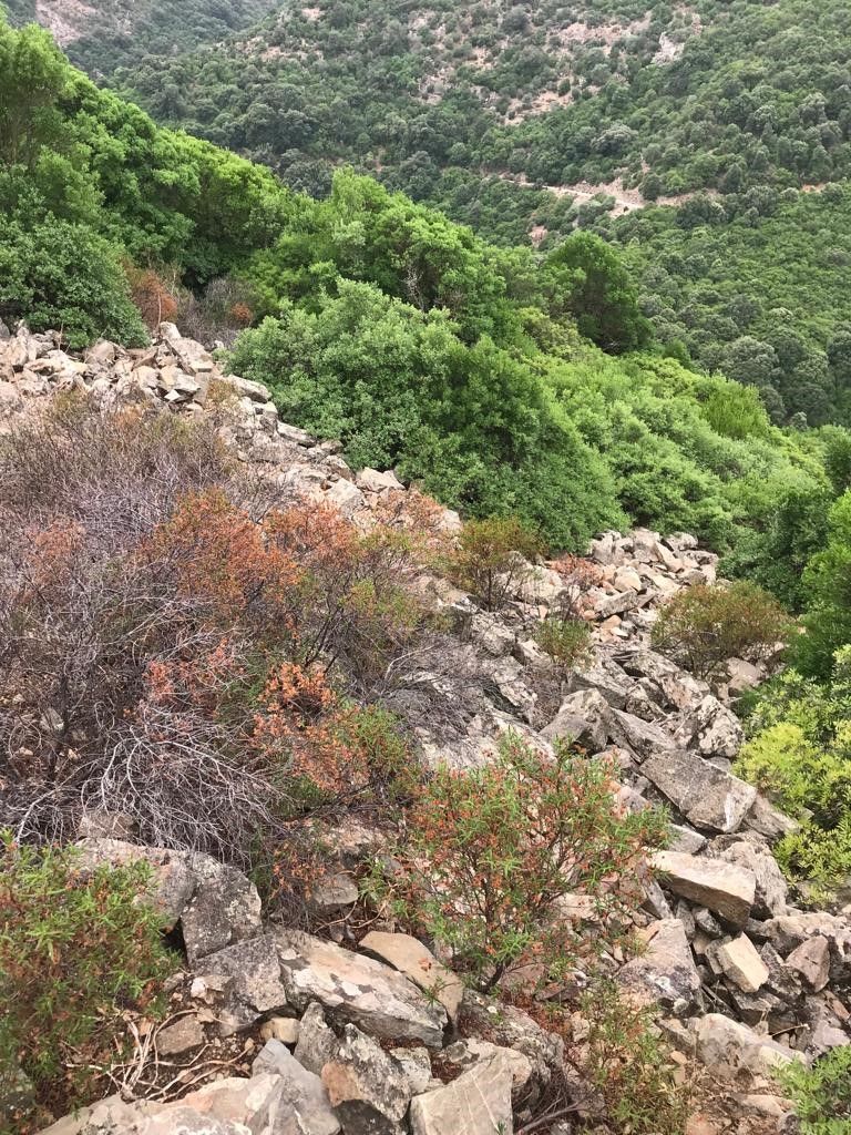 Nuraghe Quili Pala Perdixi