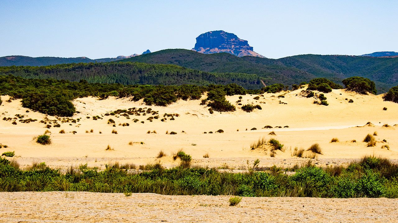 Monte Arcuentu