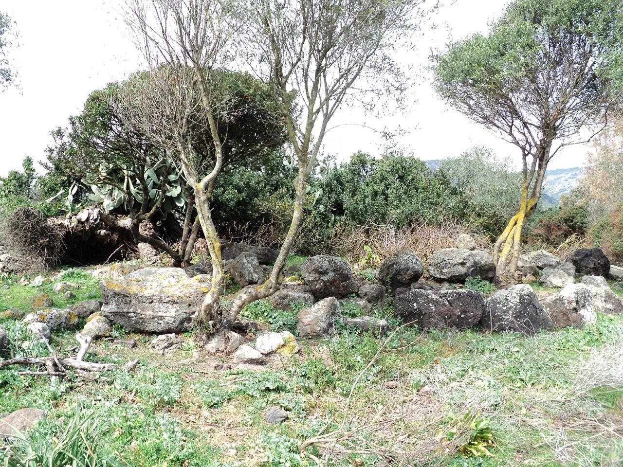 Nuraghe di Masullas - Nuraghe Tanca Tamis