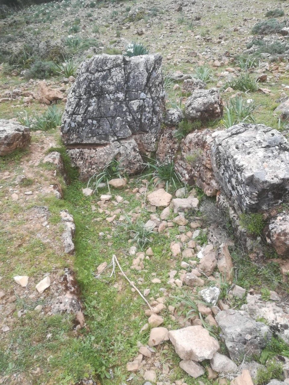 Tomba dei Giganti Sa Tanchitta - Desulo