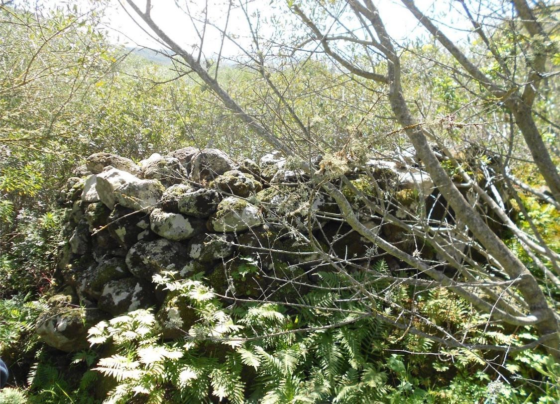 Nuraghe di Masullas - Nuraghe Mustazzori Enna Pruna