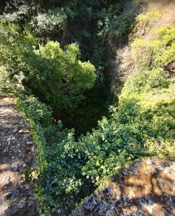 Foresta di Corongia - Voragine su disterru de Loritta