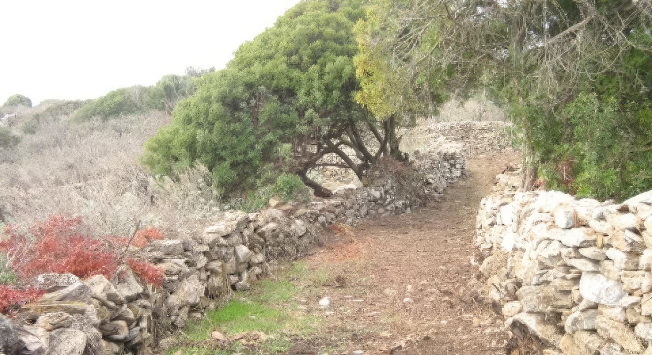 Grotta di Sa Rutt’e Scusi - il sentiero nei pressi della grotta (foto dal sito www.sardegnasentieri.it)