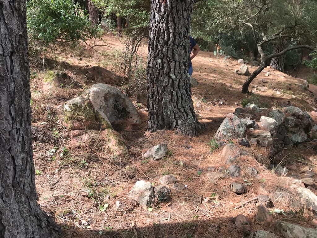 Tomba dei Giganti Gavau I