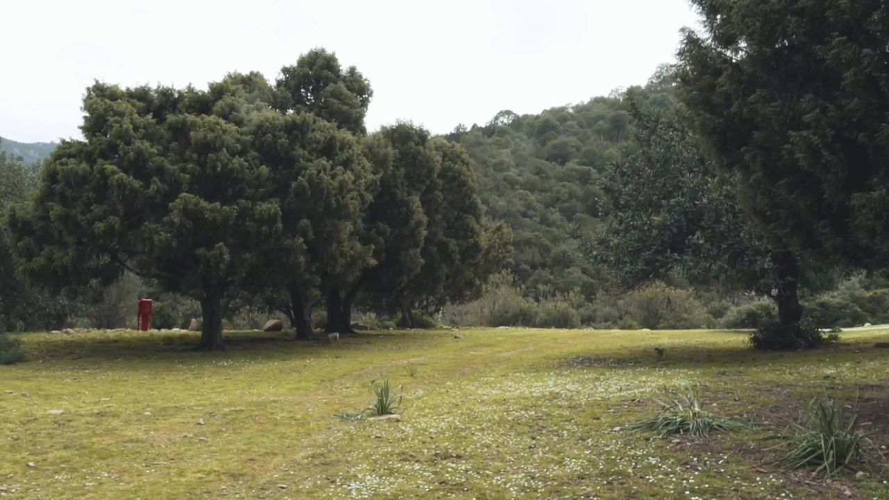 Parco di Monte Arcosu - Riserva WWF