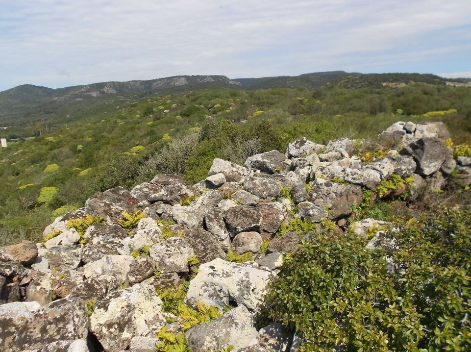 Nuraghe di Masullas - Nuraghe Mustazzori Enna Pruna