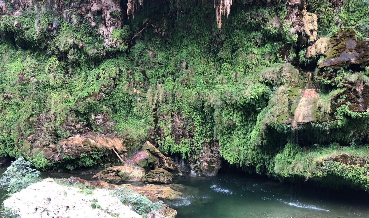 Foresta di Corongia - Cascata Sa Stiddiosa