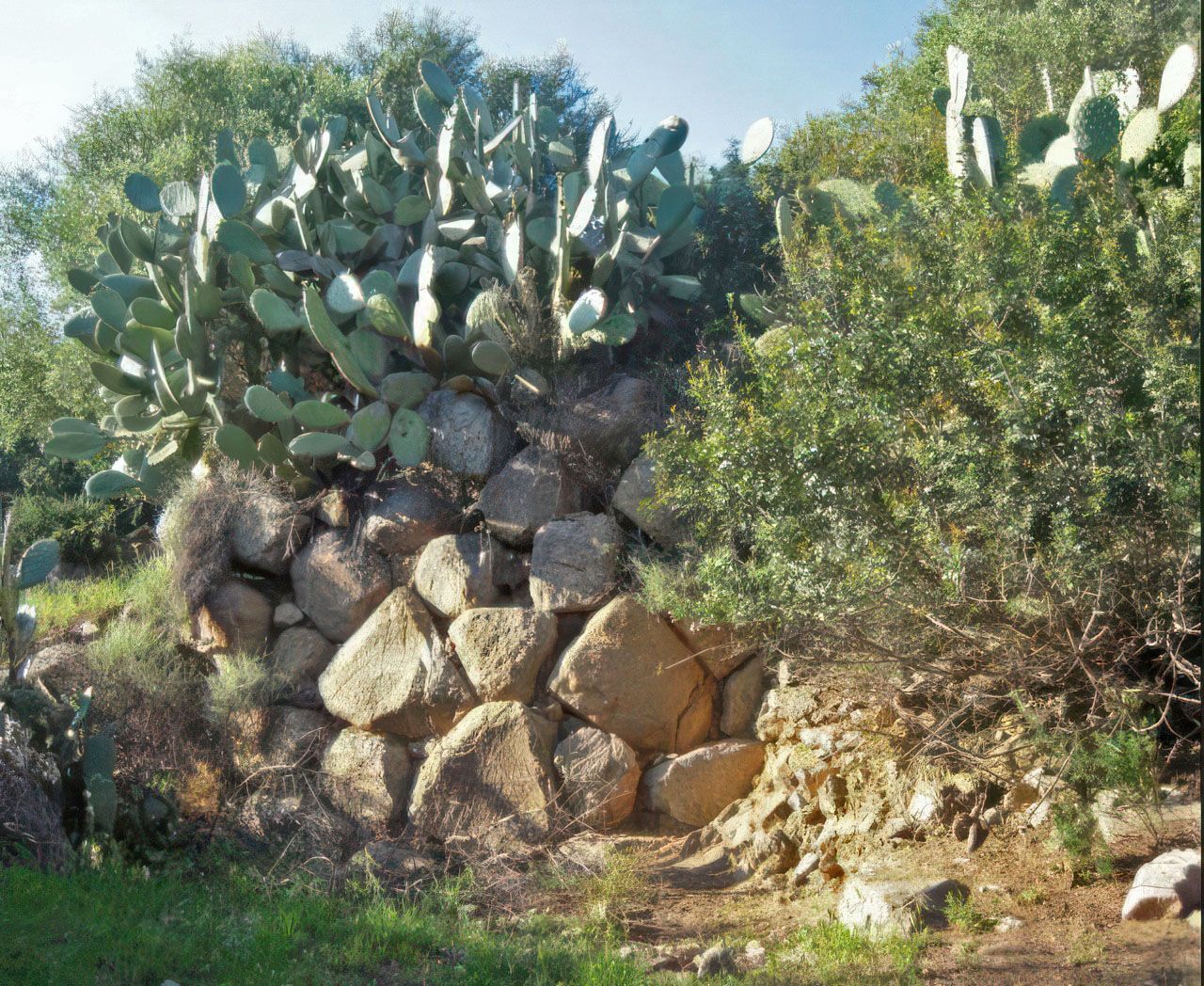 Nuraghe Boschinu - Bari sardo