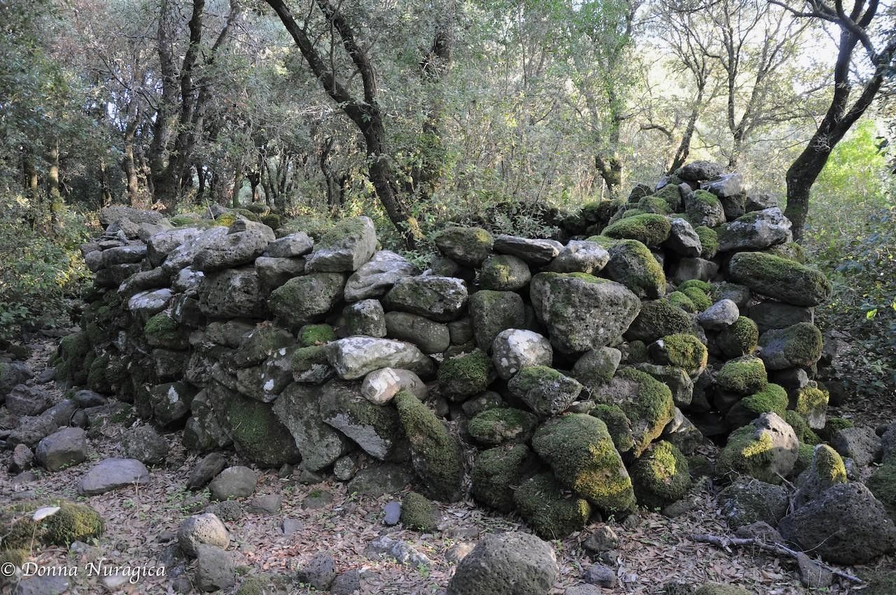 Insediamento Nuragico di Bruncu Suergiu