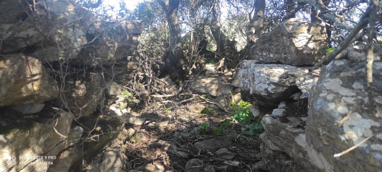 Nuraghe Pranu Scandariu o Nuraxeddu